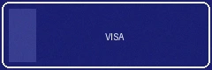 VISA支付